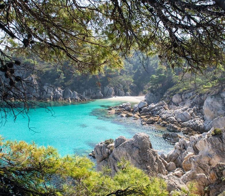 Traditionelles Appartement Athos Shadow Am Meer Paralia Sikias エクステリア 写真