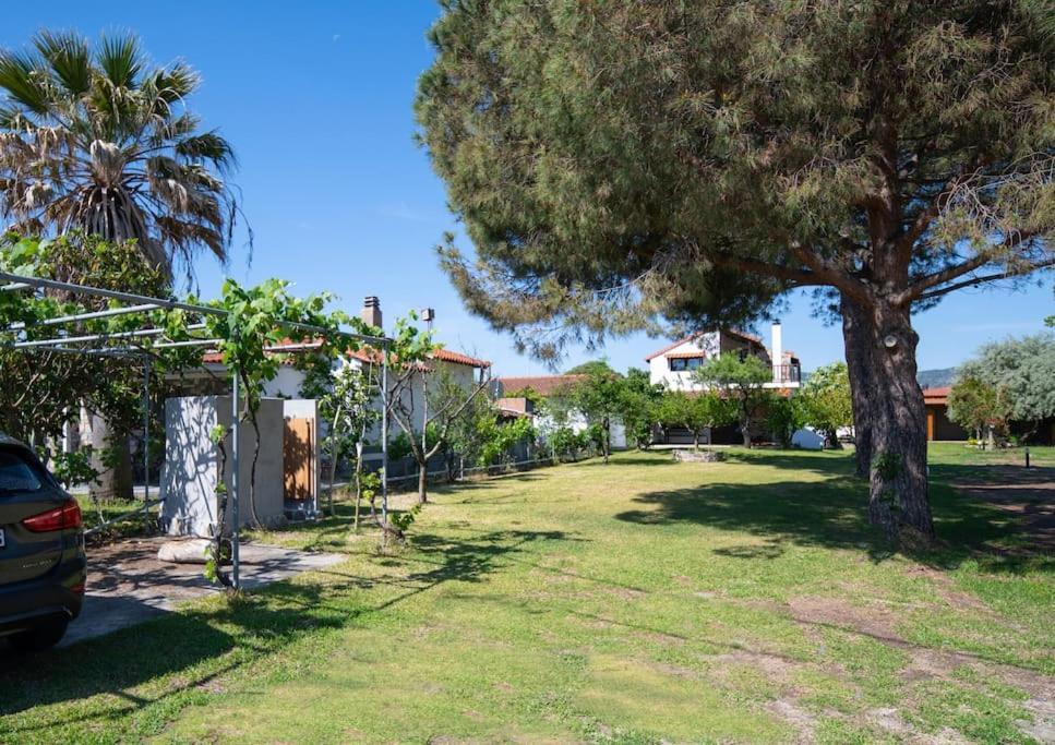 Traditionelles Appartement Athos Shadow Am Meer Paralia Sikias エクステリア 写真