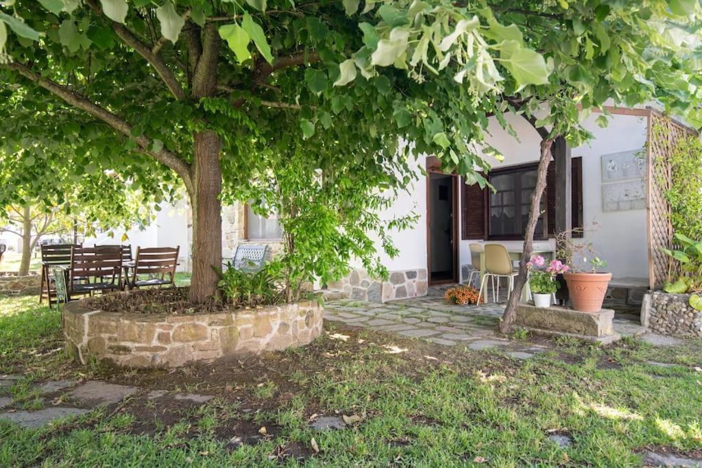 Traditionelles Appartement Athos Shadow Am Meer Paralia Sikias エクステリア 写真