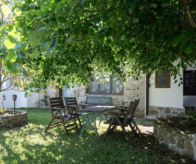 Traditionelles Appartement Athos Shadow Am Meer Paralia Sikias エクステリア 写真