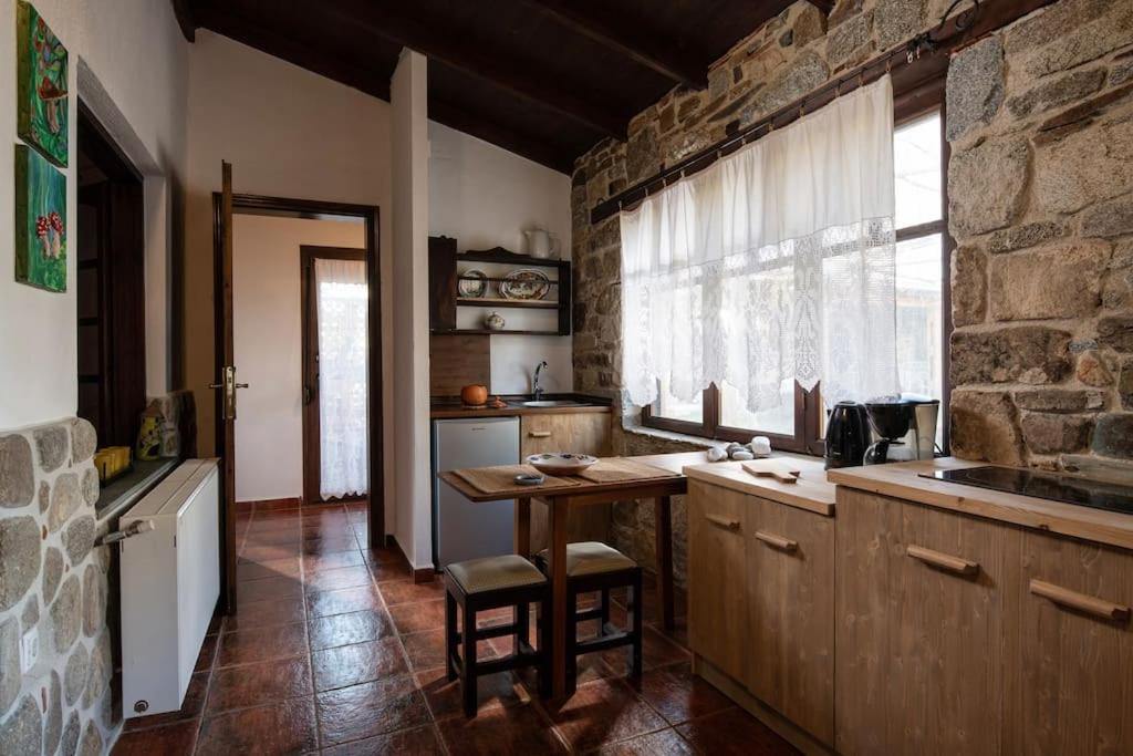 Traditionelles Appartement Athos Shadow Am Meer Paralia Sikias エクステリア 写真