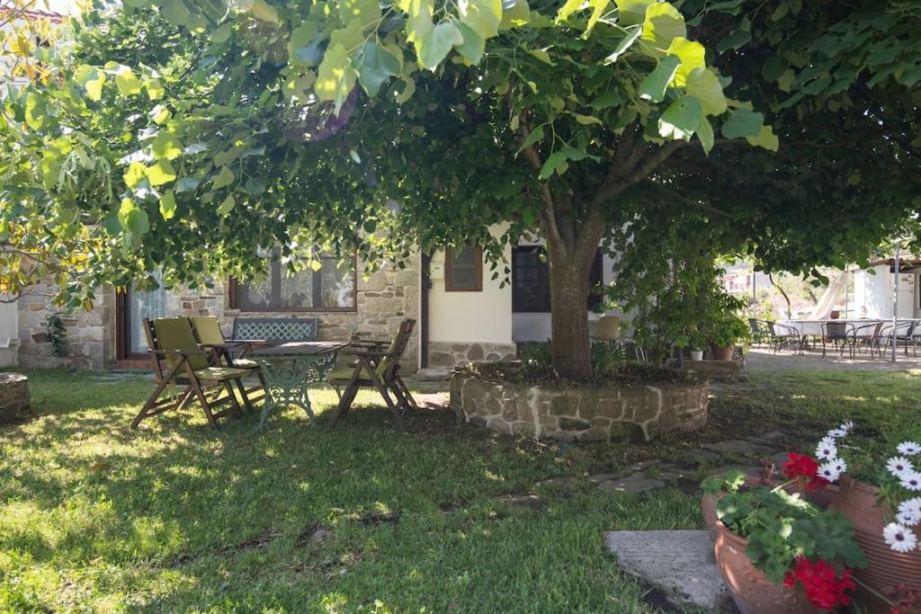 Traditionelles Appartement Athos Shadow Am Meer Paralia Sikias エクステリア 写真