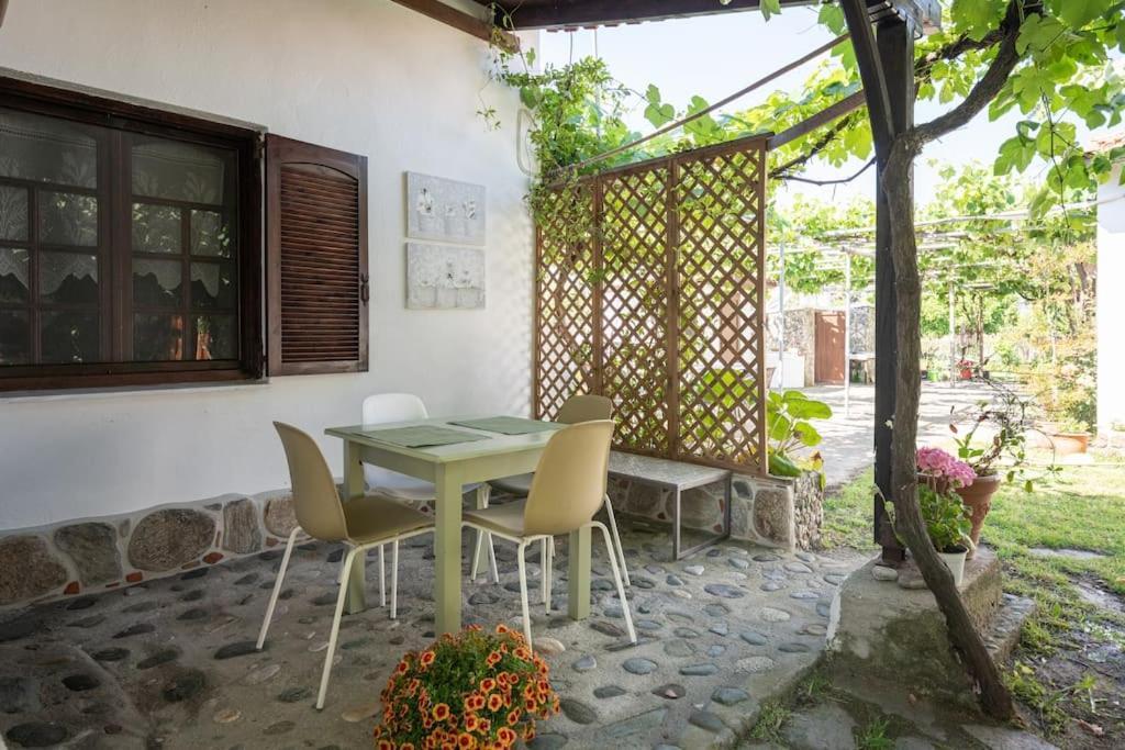 Traditionelles Appartement Athos Shadow Am Meer Paralia Sikias エクステリア 写真