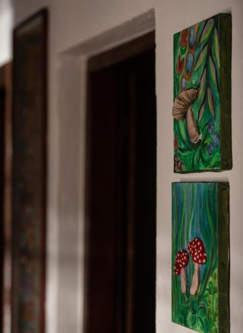 Traditionelles Appartement Athos Shadow Am Meer Paralia Sikias エクステリア 写真